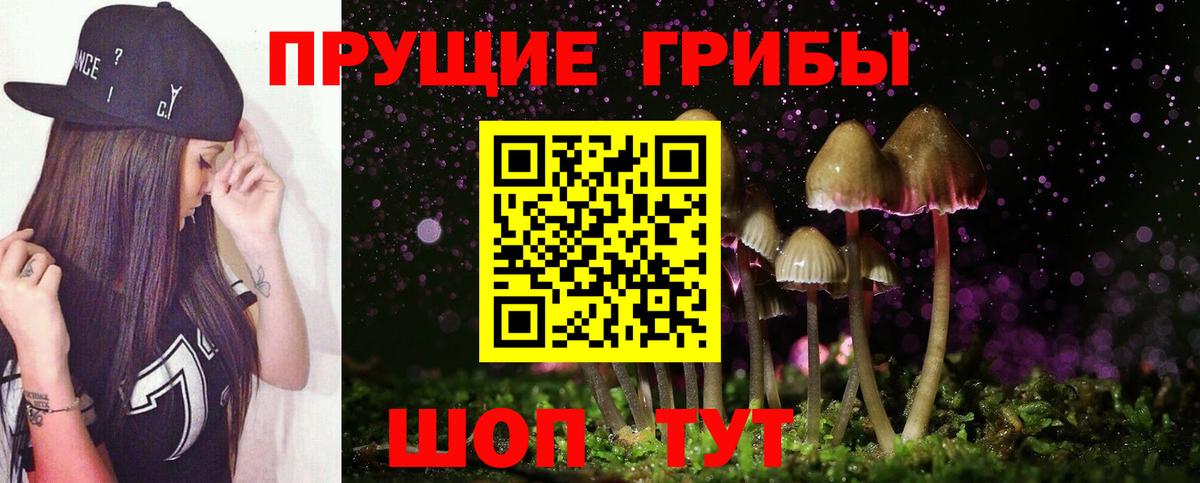 Галлюциногенные грибы мухоморы Лениногорск